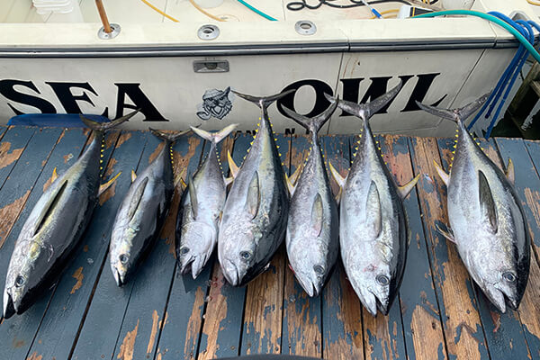 Discover the thrill of our inshore and offshore fishing trips with SeaOwl in Point Pleasant, NJ.