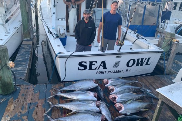 See the successful fishing outings captured by SeaOwl in Point Pleasant, NJ.