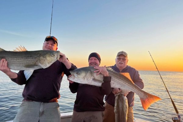 Experience the excitement of our fishing trips in Point Pleasant, NJ with our gallery.