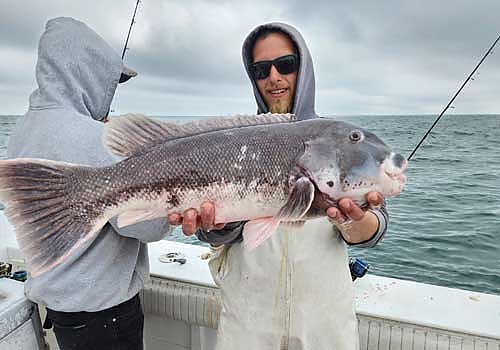 View the photo gallery of SeaOwl Fishing Charters in Point Pleasant, NJ.