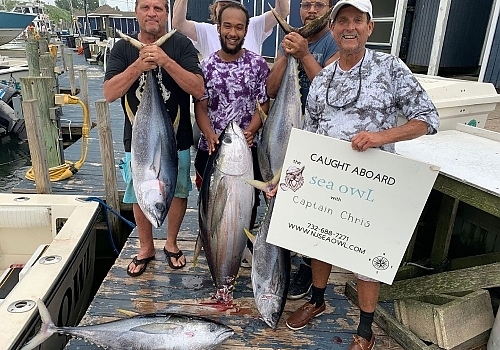 Join SeaOwls for a midrange tuna fishing adventure in Point Pleasant, NJ.