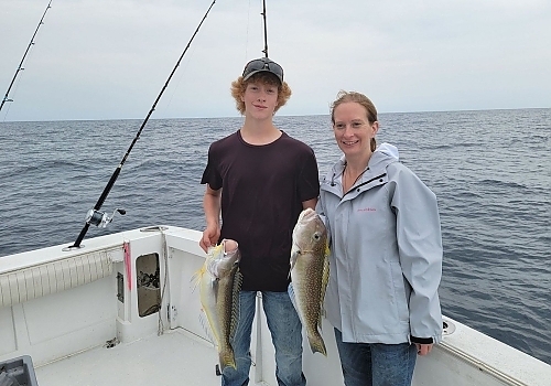 View the photo gallery of SeaOwl Fishing Charters in Point Pleasant, NJ.