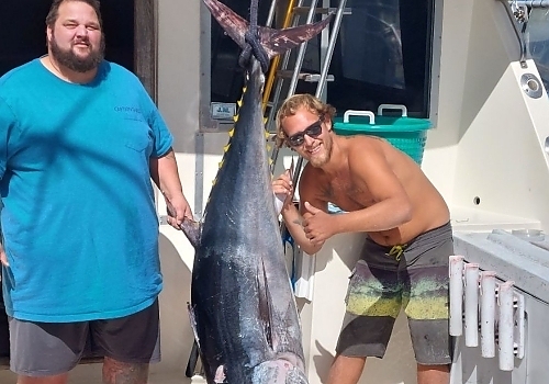 Discover the excitement of fishing for wahoo and bluefin tuna with SeaOwl in Point Pleasant, NJ.