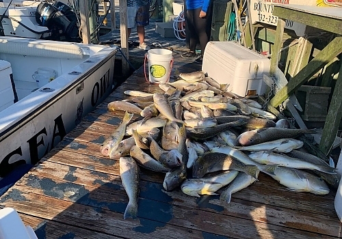 View the photo gallery of SeaOwl Fishing Charters in Point Pleasant, NJ.