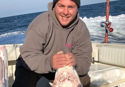 Experience thrilling shark fishing adventures with SeaOwl Fishing Charters in Point Pleasant, NJ.