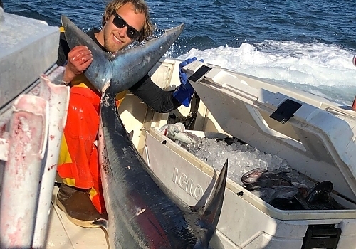 Experience thrilling shark fishing adventures with SeaOwl Fishing Charters in Point Pleasant, NJ.