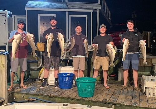 View the photo gallery of SeaOwl Fishing Charters in Point Pleasant, NJ.